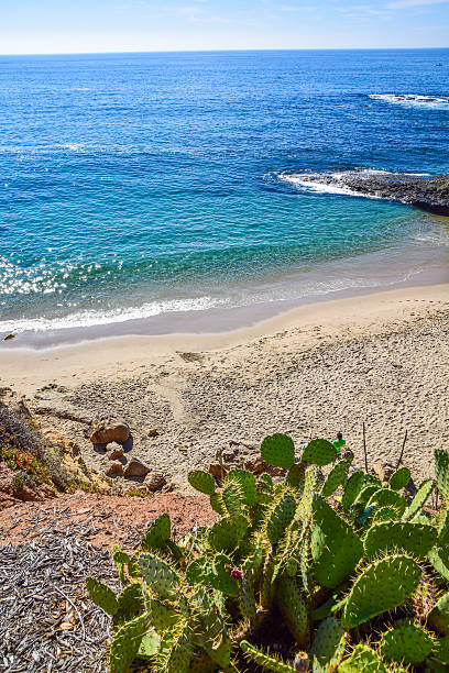 istock Heisler Park and Laguna Beach Coastline 623755578