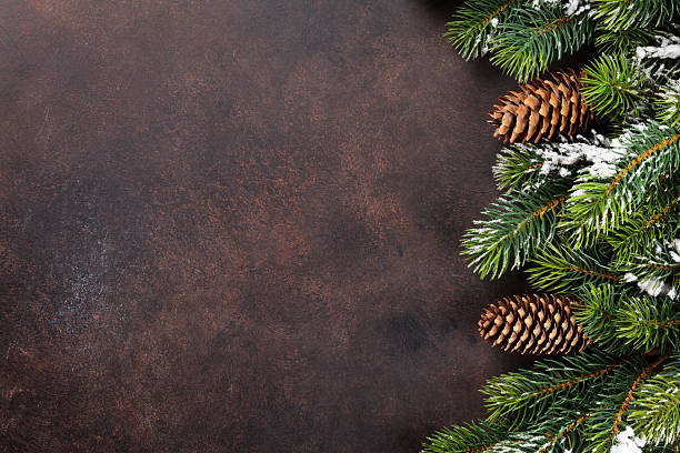istock Christmas background with snow fir tree 623759222