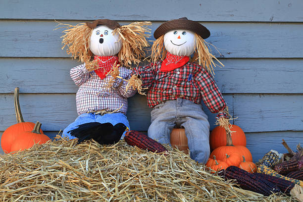 istock Scarecrows surprised by crow eating corn under their watch 623760472