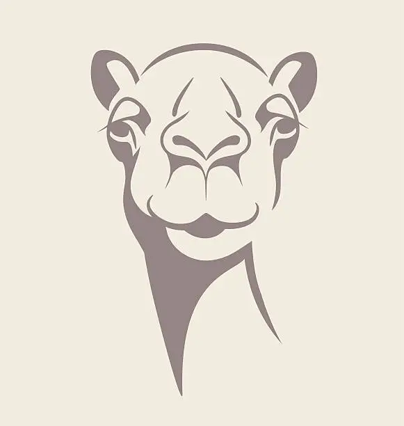 Vector illustration of funny camel vector illustration for t- shirt, poster, print design