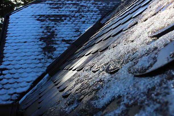 istock Roof Tiles - Stock image 623762790