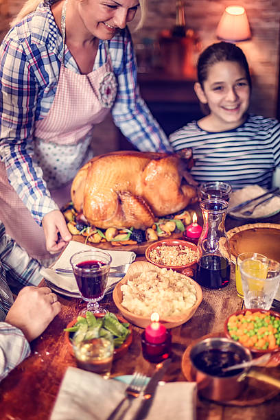 istock Traditional Holiday Stuffed Turkey Dinner 623764170