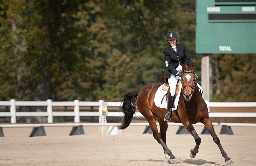 A stock photo of a horse and rider in a dressage test competition