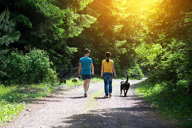 relájese paseo familiar con perro en el bosque - people female male men fotografías e imágenes de stock