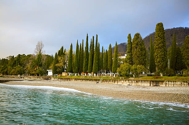Landscape of beach Black sea, New Athos (Novy Afon) Abkhazia, dark cloudy sky, trees on the shore, sunset