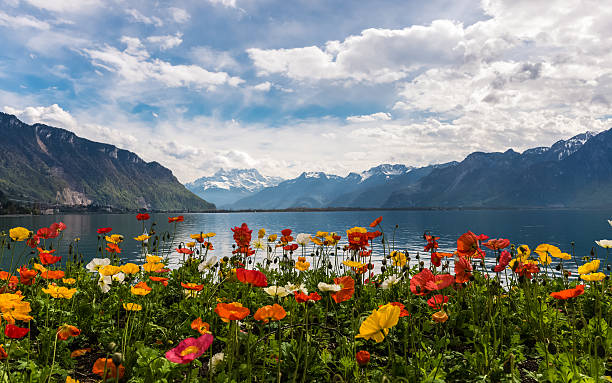 Beautiful view on the Alps Mountains and Lake Leman