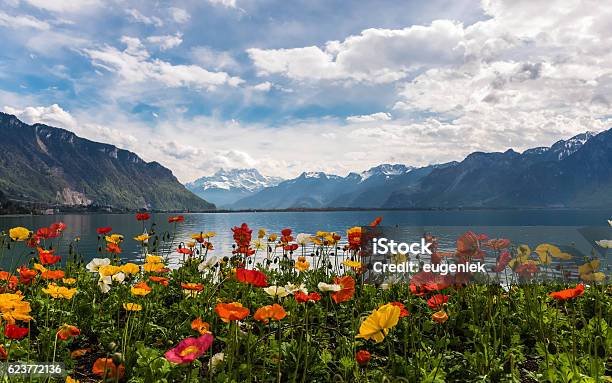 Beautiful View On The Alps Mountains And Lake Leman Stock Photo - Download Image Now