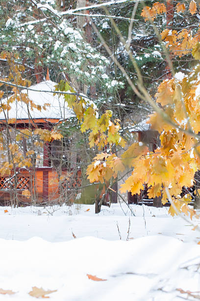 istock First snowfall in urban park in autumn day. Yellow leaf 623774782