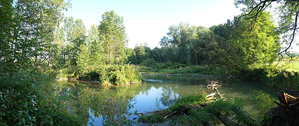 istock Meander of the Venoge river 623776610
