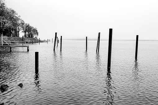 A B&W image of wood pilings in the water of Coeur d'Alene Lake in Idaho on a foggy day.
