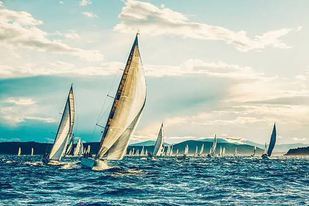 Sailing regatta with sailboats in early morning.