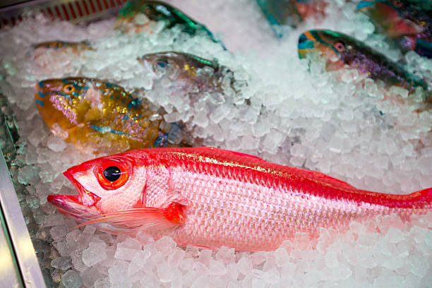 istock Red fish in fish market 623781074