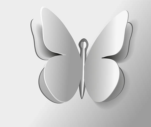 Insect butterfly one large outline isolated gray stock photo