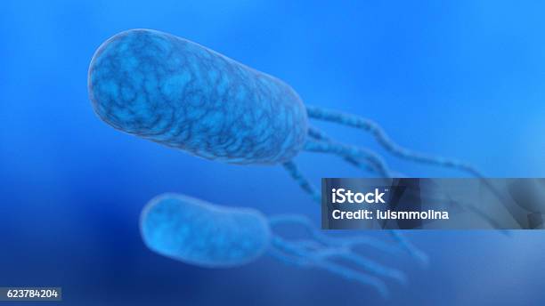 Escherichia Coli Stock Photo - Download Image Now - Bacillus Subtilis, Bacterium, Biological Cell