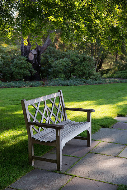 istock Garden Bench in the Summer Morning 623822372