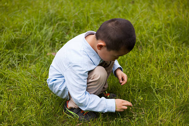 istock Young child touching natural plant 623822444