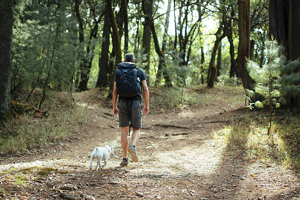 istock Back view of latin man hiking with his dog 623823218