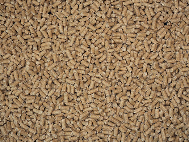 istock Cat's toilet sand 623825506