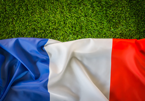 French flag on green grass