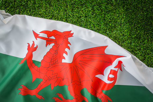 Welsh flag on green grass