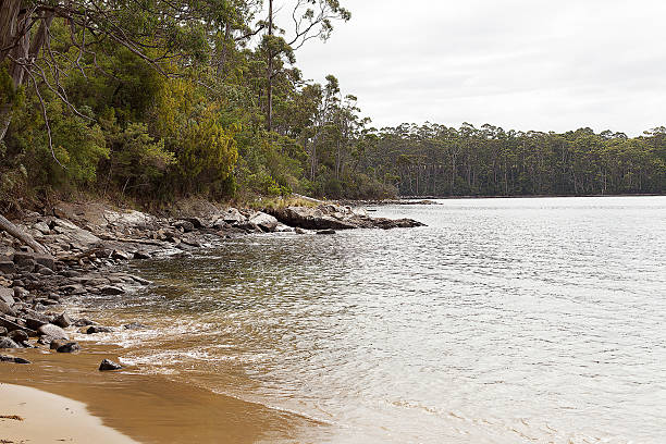 istock Stewarts Bay Tasmania 623827246