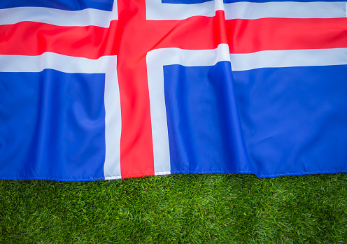 Icelandic flag on green grass