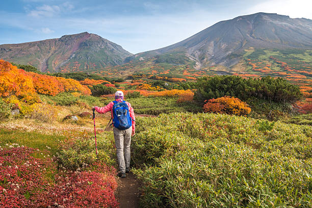 femme marchant parmi les couleurs d’automne sur le sentier de randonnée, hokkaido, daisetsuzan - parc national de daisetsuzan photos et images de collection