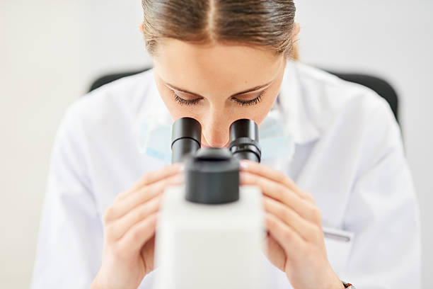 istock Curiosity is the key to understanding the world 623858680