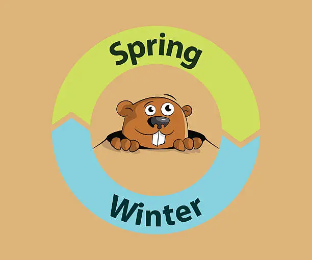 Vector illustration of Groundhog spring or winter