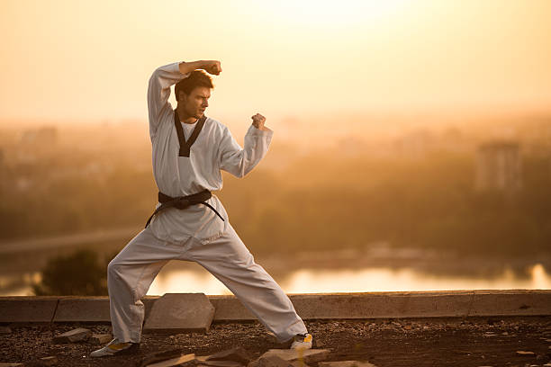 Black belt martial artist practicing karate at sunset.