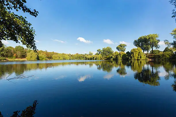Water Reflection on Lake at Krefeld / Germany