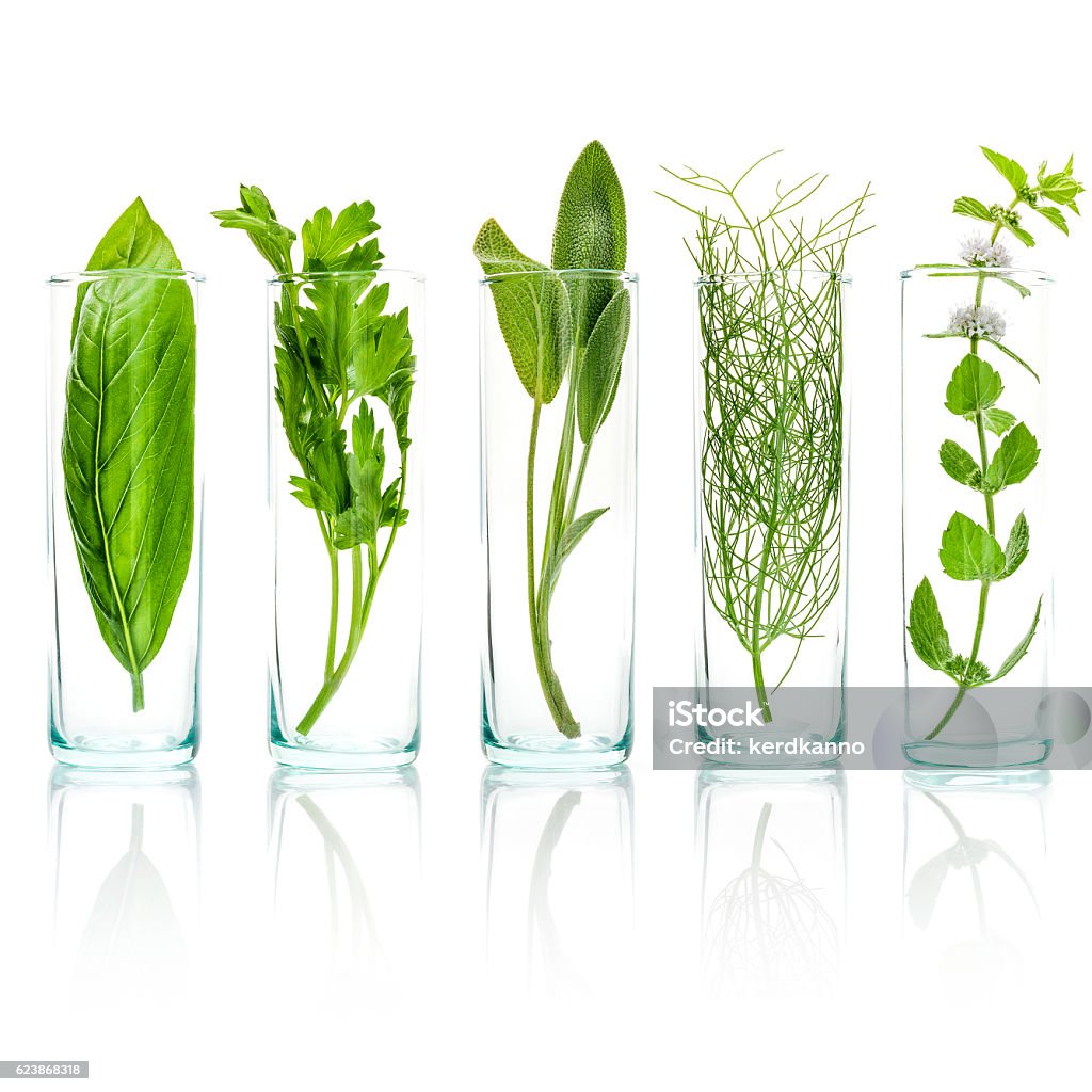 Close Up bottles of fresh aromatic herbs . Fresh sage Close Up bottles of fresh aromatic herbs . Fresh sage branch , sweet basil leaves ,fennel ,parsley and peppermint branch isolated on white background. Aromatherapy Stock Photo