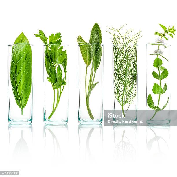 Close Up Bottles Of Fresh Aromatic Herbs Fresh Sage Stock Photo - Download Image Now