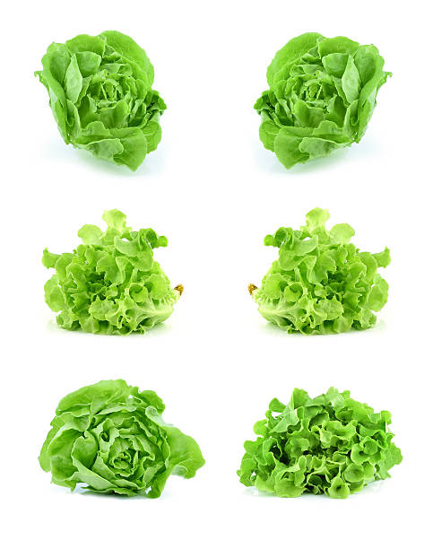 istock green lettuce leaves isolated on white background 623869450