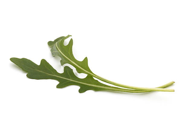 istock Sweet rucola salad or rocket lettuce leaves isolated 623869500