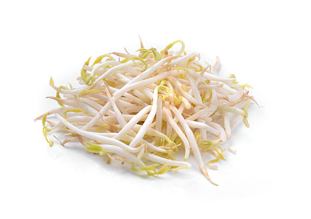 istock bean sprouts, soybean sprouts on a white background 623869674