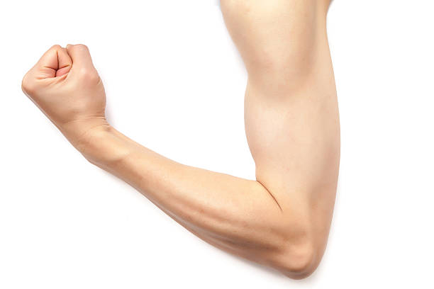 istock Man's elbow and arm on white background isolated 623877062