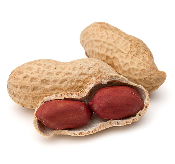 istock Opened and whole peanut or groundnut pod isolated 623882312