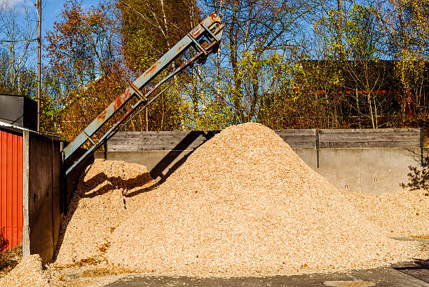 istock Pile of sawdust 623882614