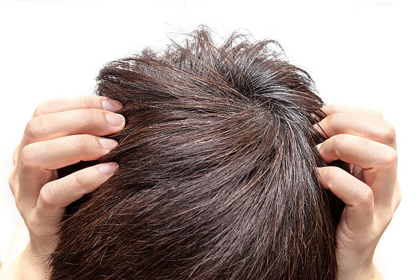 istock man who has grey hair on white background isolated 623884792