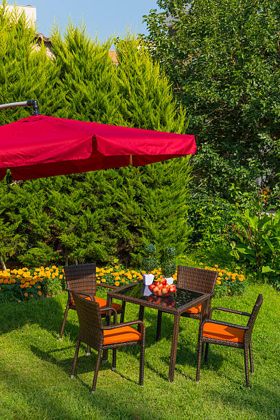 istock Garden with Wooden Dining Table Set 623885240