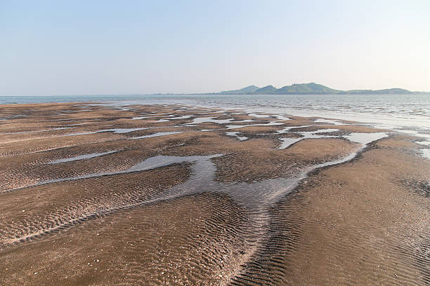 istock Beach in Sea when water down 623887494