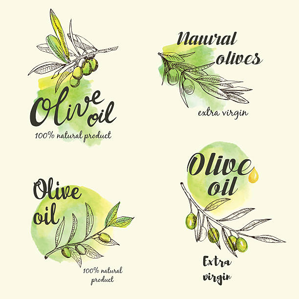 творческий набор дизайна логотипа оливкового масла. векторная иллюстрация. - fruit vector typescript illustration and painting stock illustrations