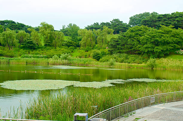. park in Seoul in summer, South Korea