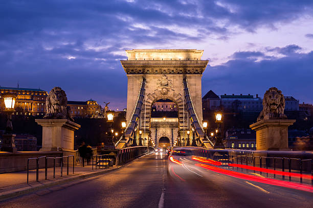 освещенный вид на цепной мост в будапеште ночью - chain bridge budapest bridge lion стоковые фото и изображения