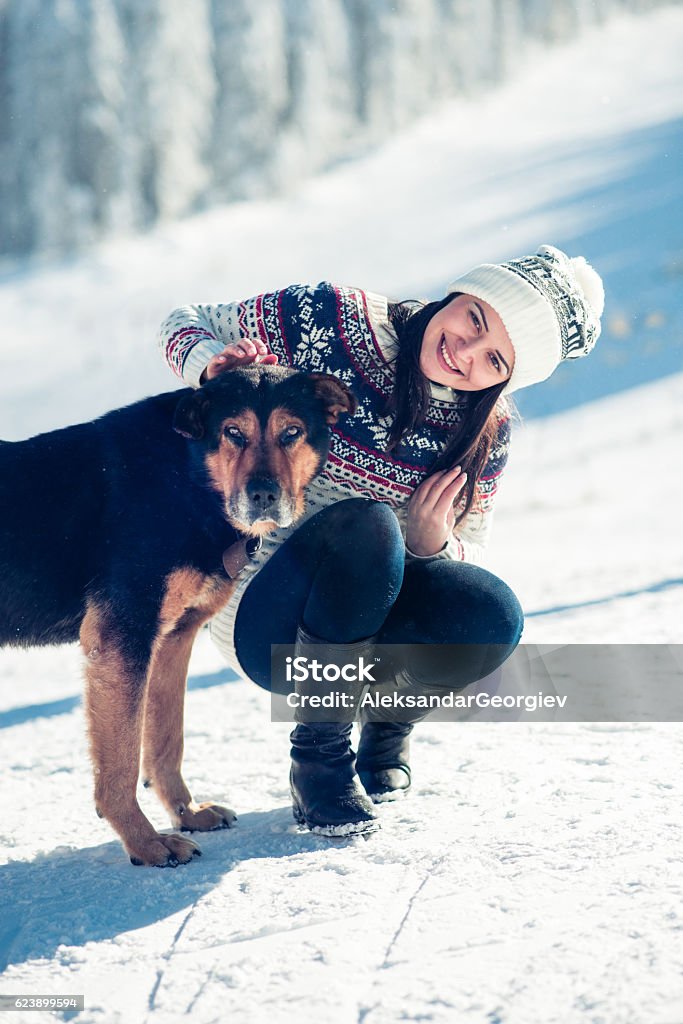 Smiling Female with Her Dog at Snowy Mountains Smiling young woman with Her Dog in the Snowy Mountains during the winter. Adult Stock Photo