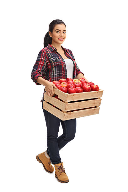 lavoratrice agricola che detiene una cassa piena di mele - women smiling mature adult portrait foto e immagini stock