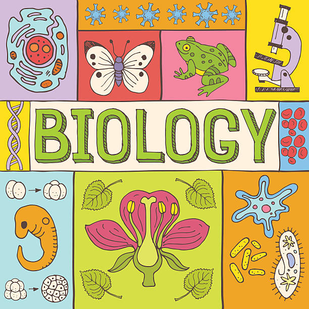 Biology poster Biology hand drawn colorful vector illustration with doodle icons, biological images and objects, isolated on background. ciliophora stock illustrations