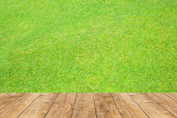 istock wood floor with wood floor with green grass background. 623900970