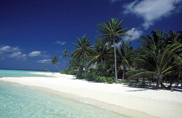 istock ASIA INDIAN OCEAN MALDIVES SEASCAPE BEACH 623901268
